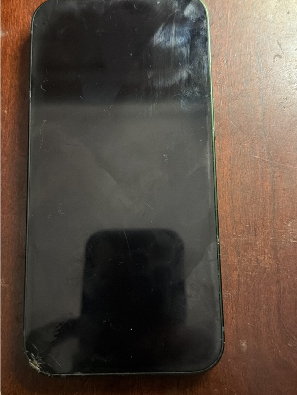 Apple iPhone Green Dual Camera Back Panel iPhone 13 - Picture 2 of 2